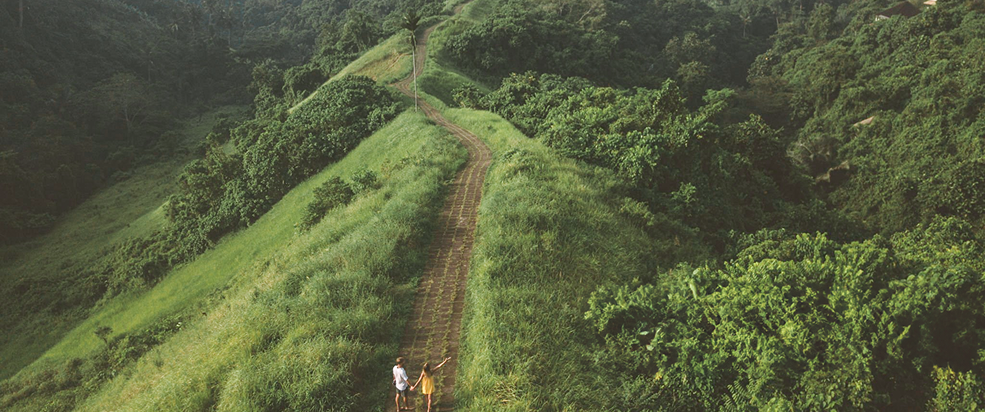 Campuhan Ridge Walk