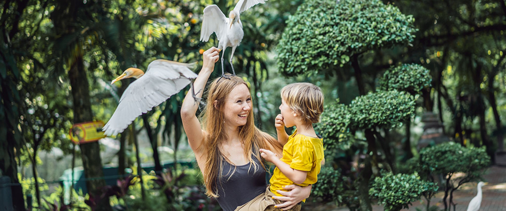 Bali Bird Park