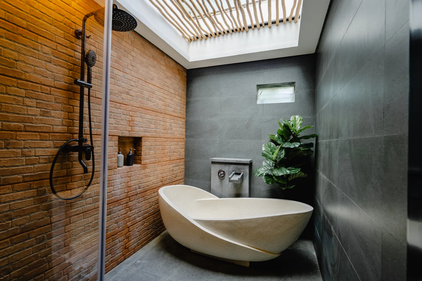 Bougenville - Photo Gallery