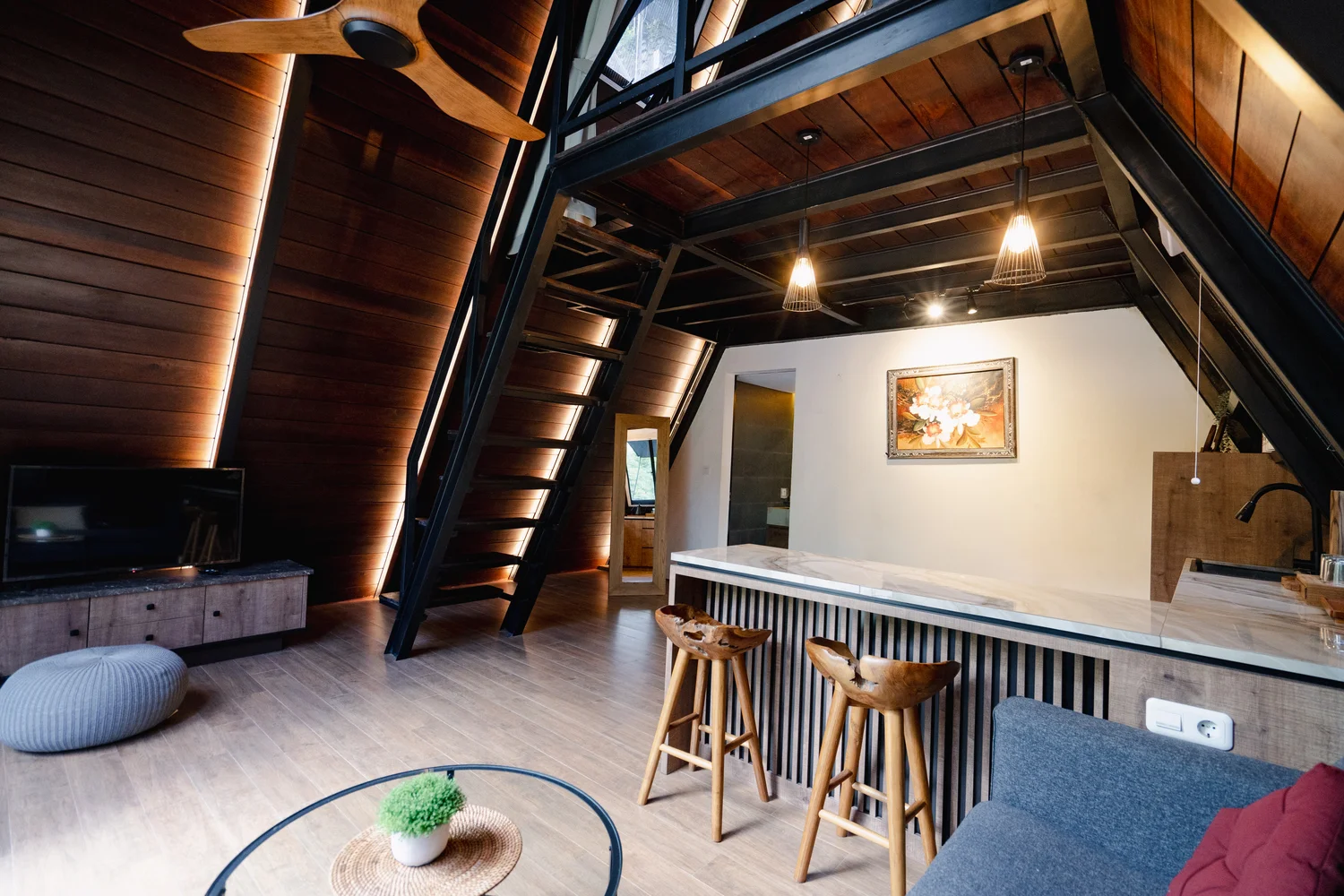 Bougenville - Photo Gallery